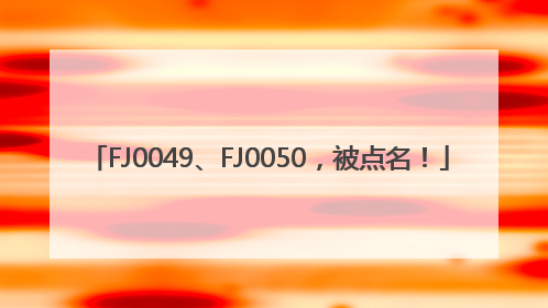 FJ0049、FJ0050，被点名！