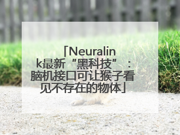 Neuralink最新“黑科技”：脑机接口可让猴子看见不存在的物体