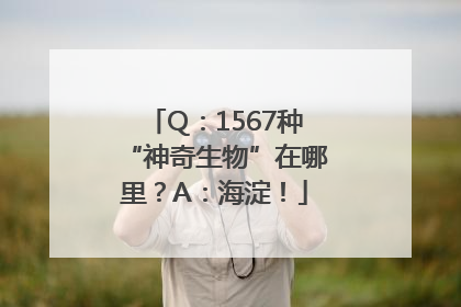 Q：1567种“神奇生物”在哪里？A：海淀！