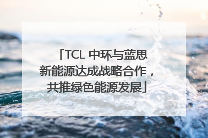 TCL 中环与蓝思新能源达成战略合作，共推绿色能源发展