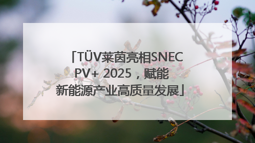 TÜV莱茵亮相SNEC PV+ 2025，赋能新能源产业高质量发展