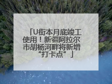 U街本月底竣工使用！新疆阿拉尔市胡杨河畔将新增“打卡点”